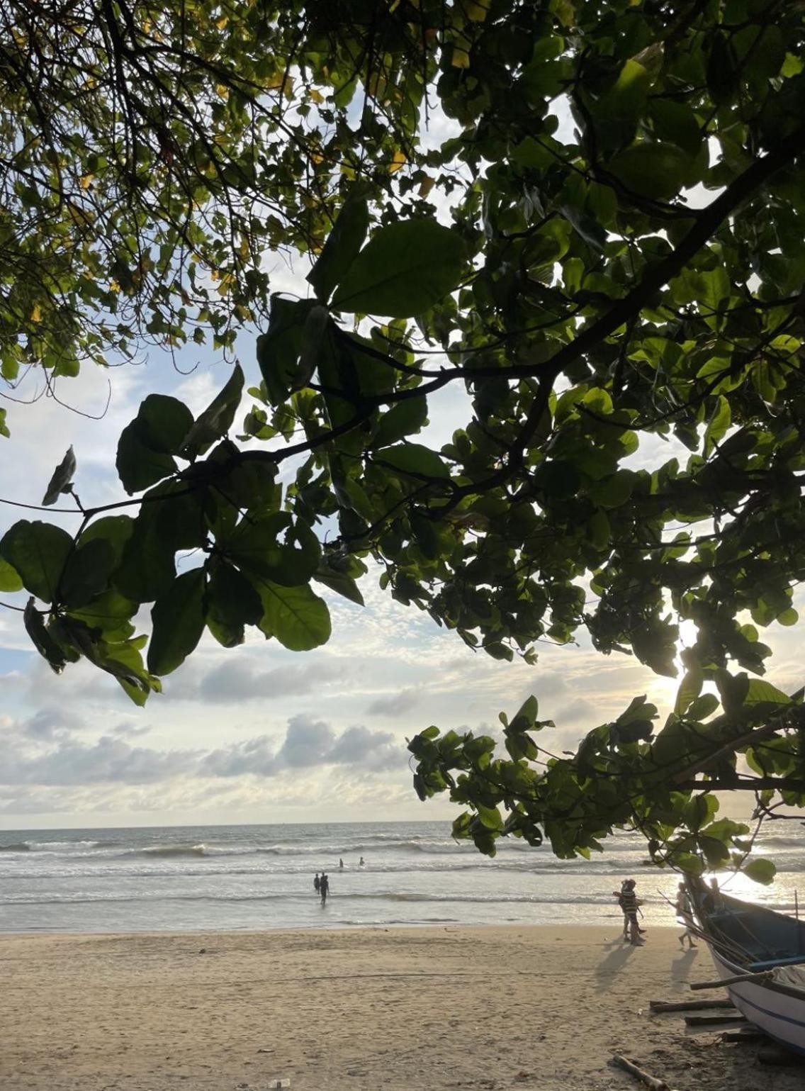12 Monks - Beachside Hostel Arambol Exterior photo